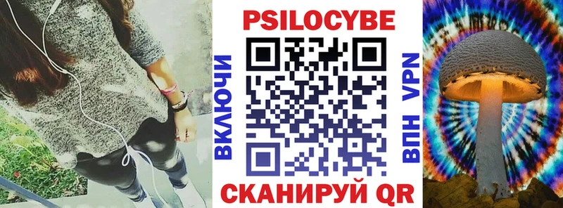 Купить где  Нижний Ломов  Псилоцибиновые грибы GOLDEN TEACHER 